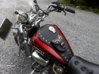 (S) YAMAHA VIRAGO XV 750 LEATHER TANK Cover Panel Strap Chap Bra Bib
